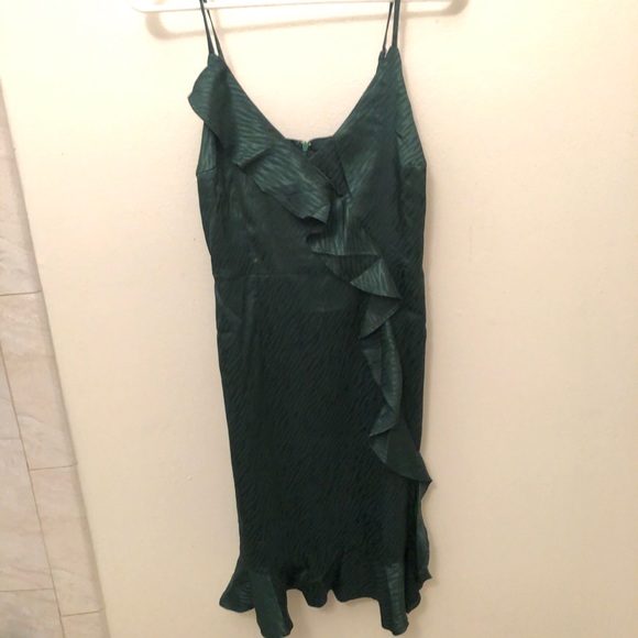Lulus Green Zebra Satin Ruffled Dress NWT - Picture 5 of 5